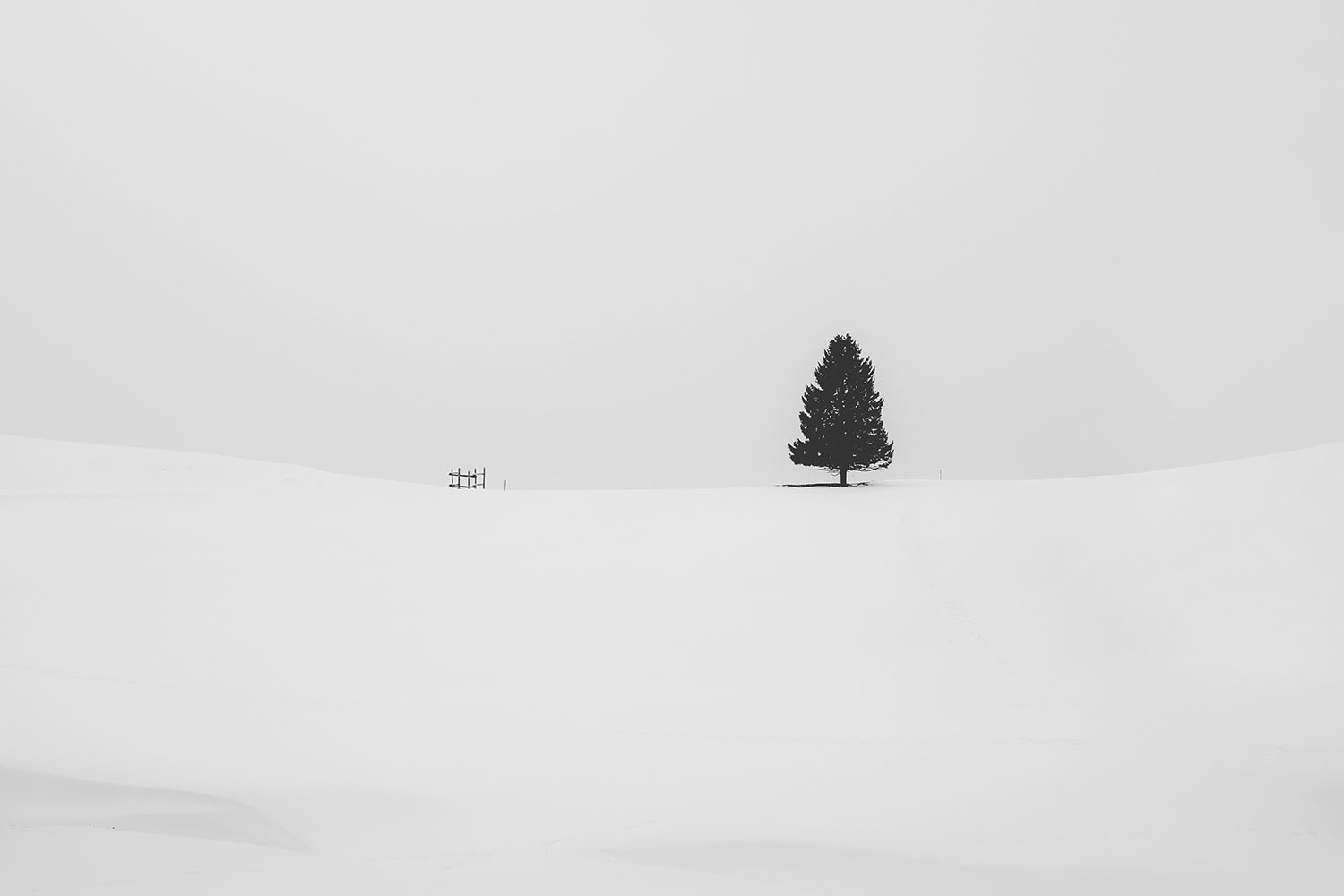 Photograph title Copy Copy Copy Copy Copy Copy Copy Copy Copy Copy