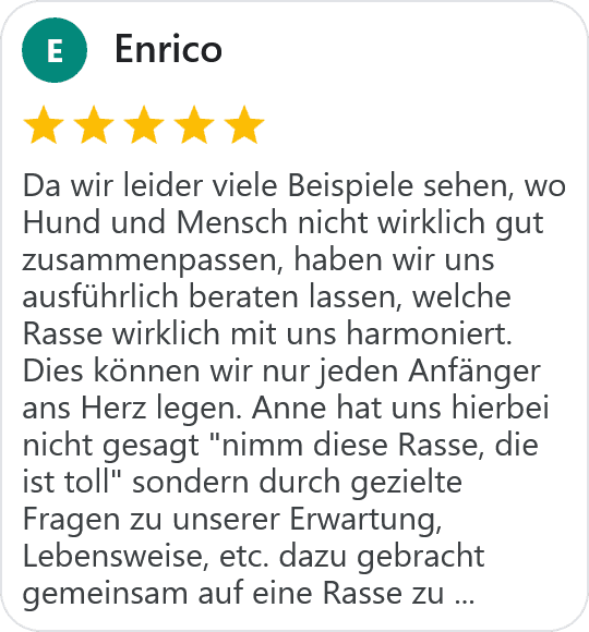 five star google review from Enrico