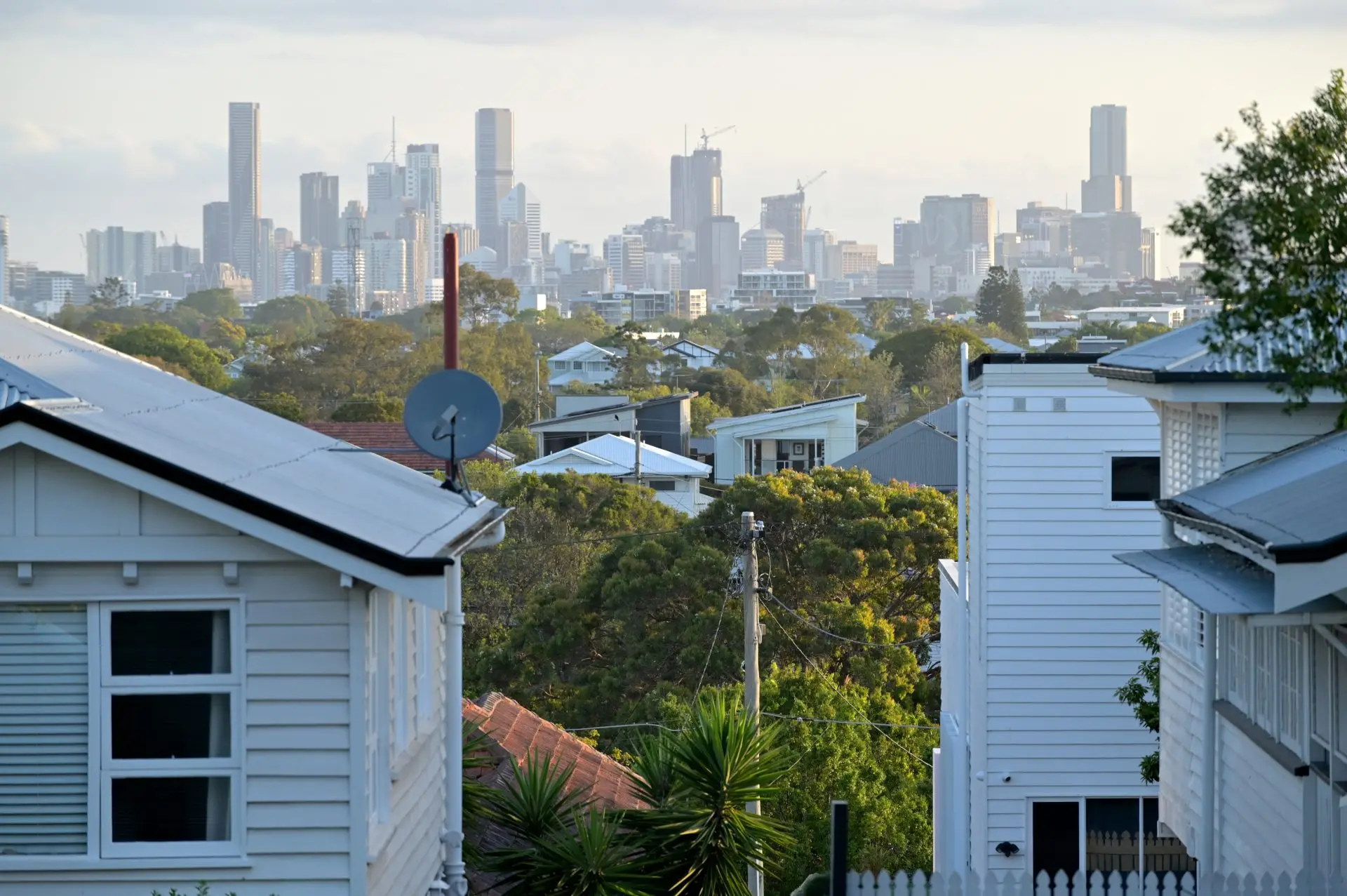 Suburban rooftops and trees with city skyline in background