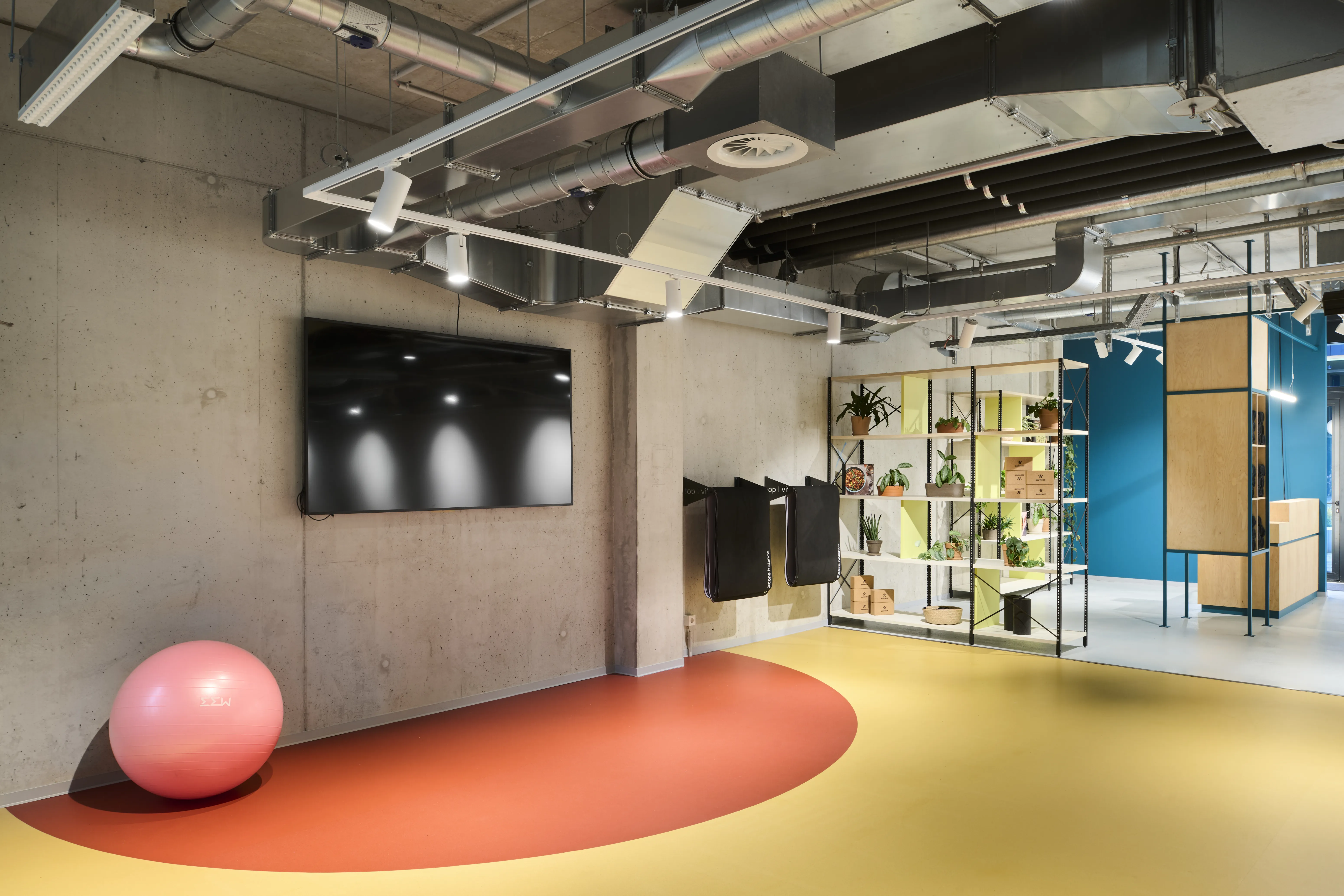 Exercise area at HELLOFRESH GYM with a pink gym ball on red-and-yellow flooring, wall-mounted screen on raw concrete and a yellow shelf with towels and plants.
