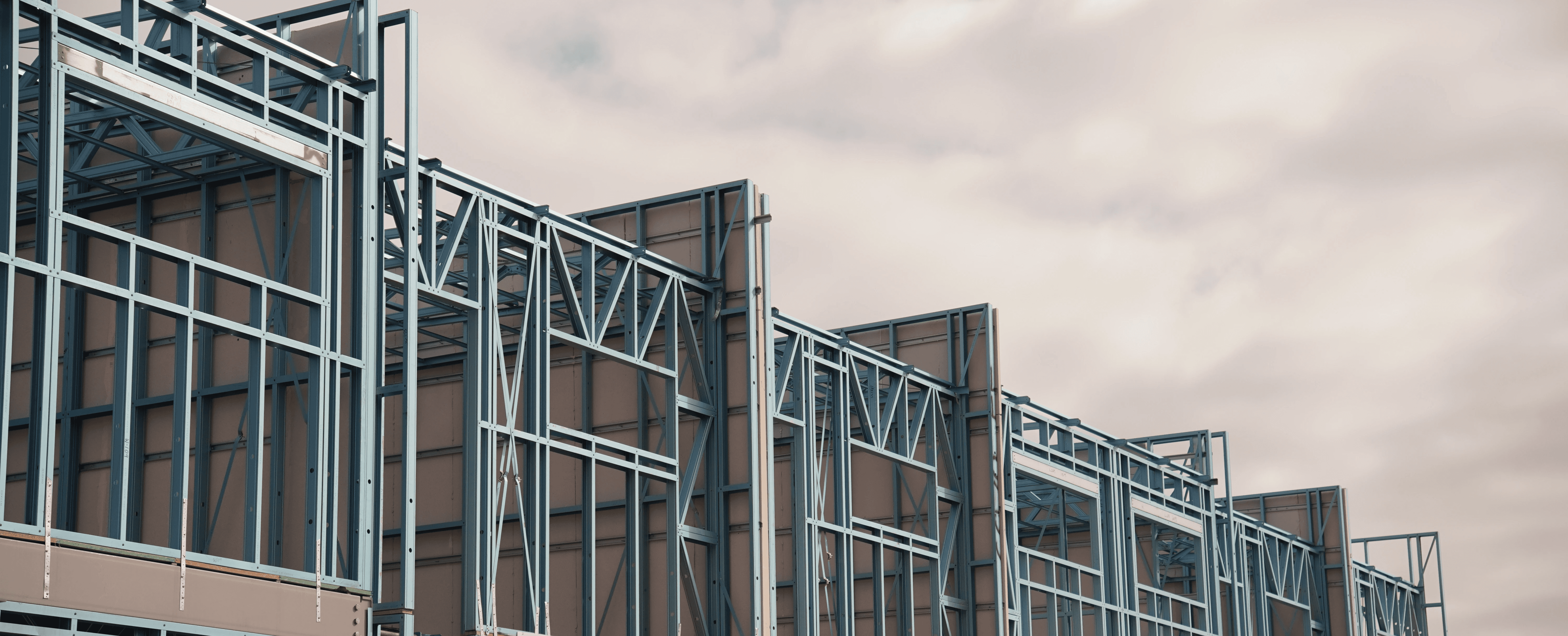 Close-up of a dark green leaf showing its textured surface and central vein against a muted background.