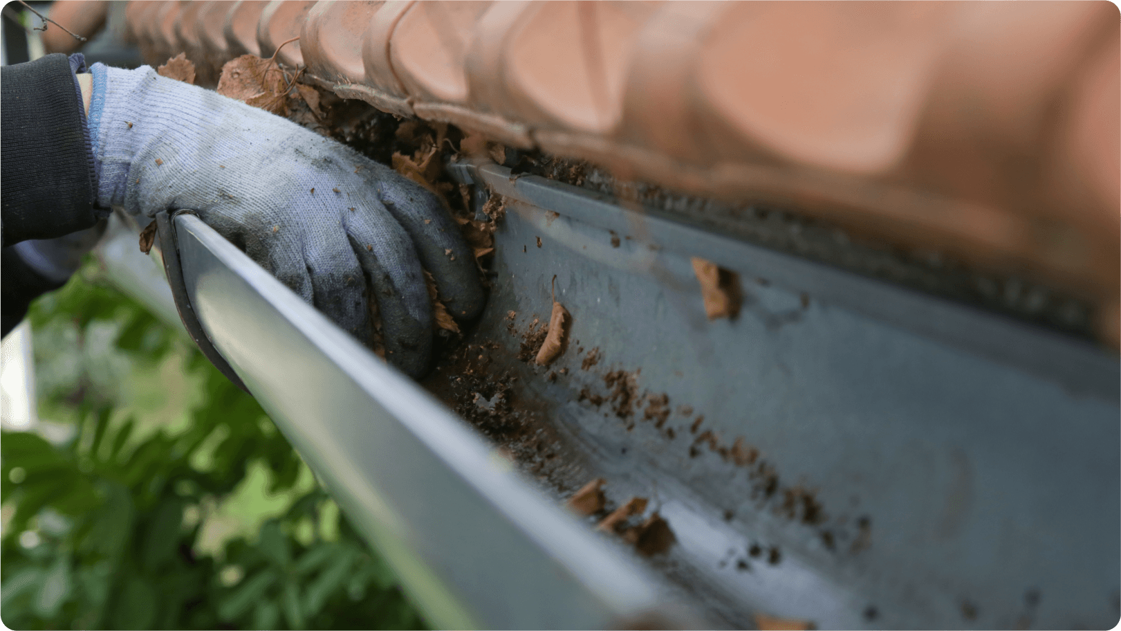 雨樋掃除・修理
