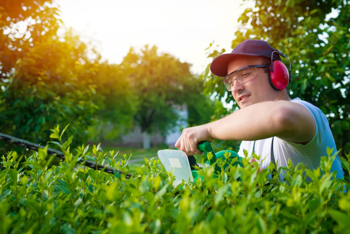 north brisbane property maintenance man trimming hedges