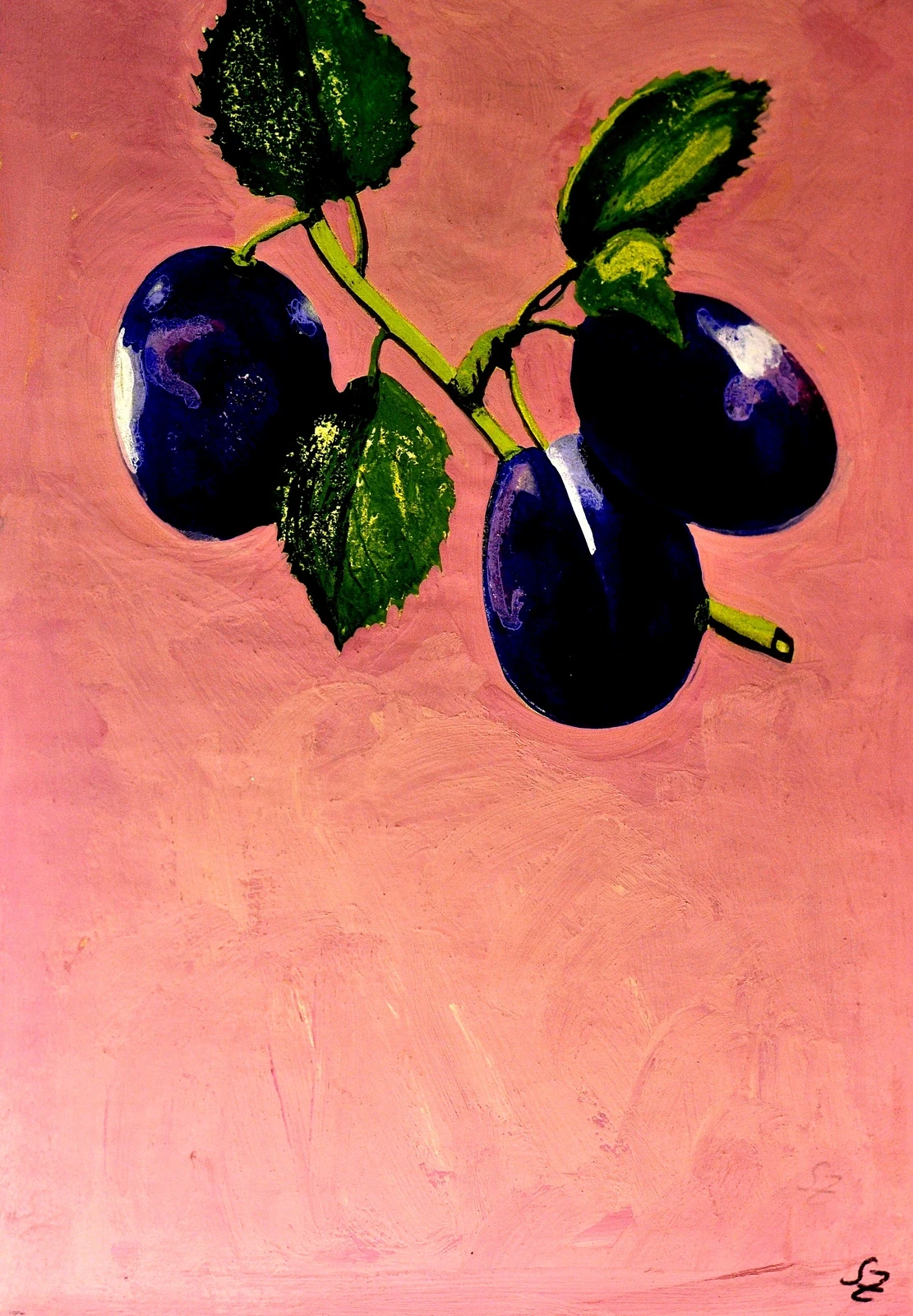 Früchte 96