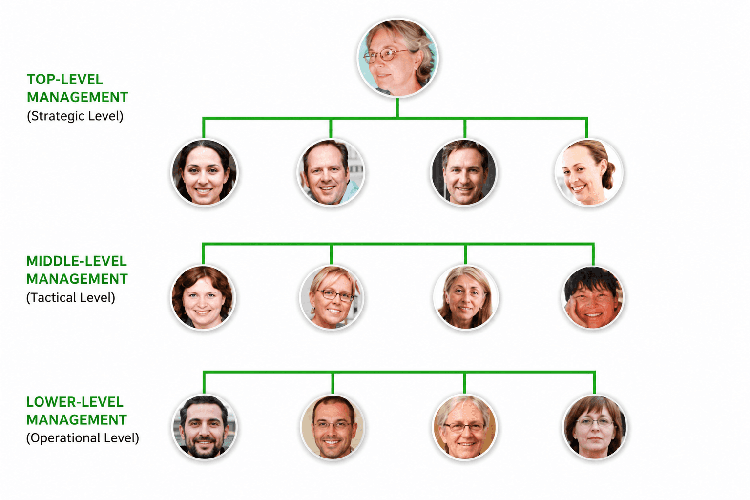 Levels-of-management