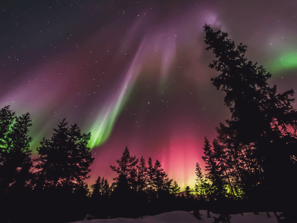 Lapland Material Bank | Lapland Safaris
