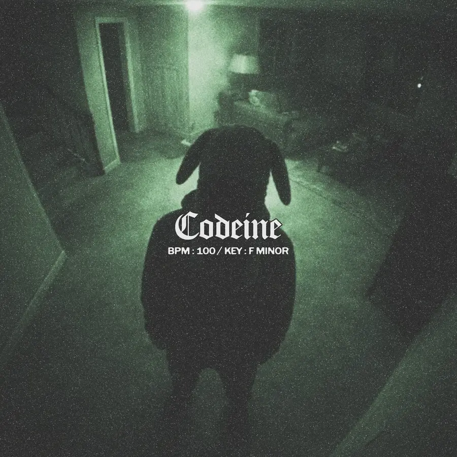 $uicideboy$ x Night Lovell | Codeine