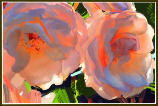 Two peach roses up close, in bold loose strokes, flower drawing by cybernaut