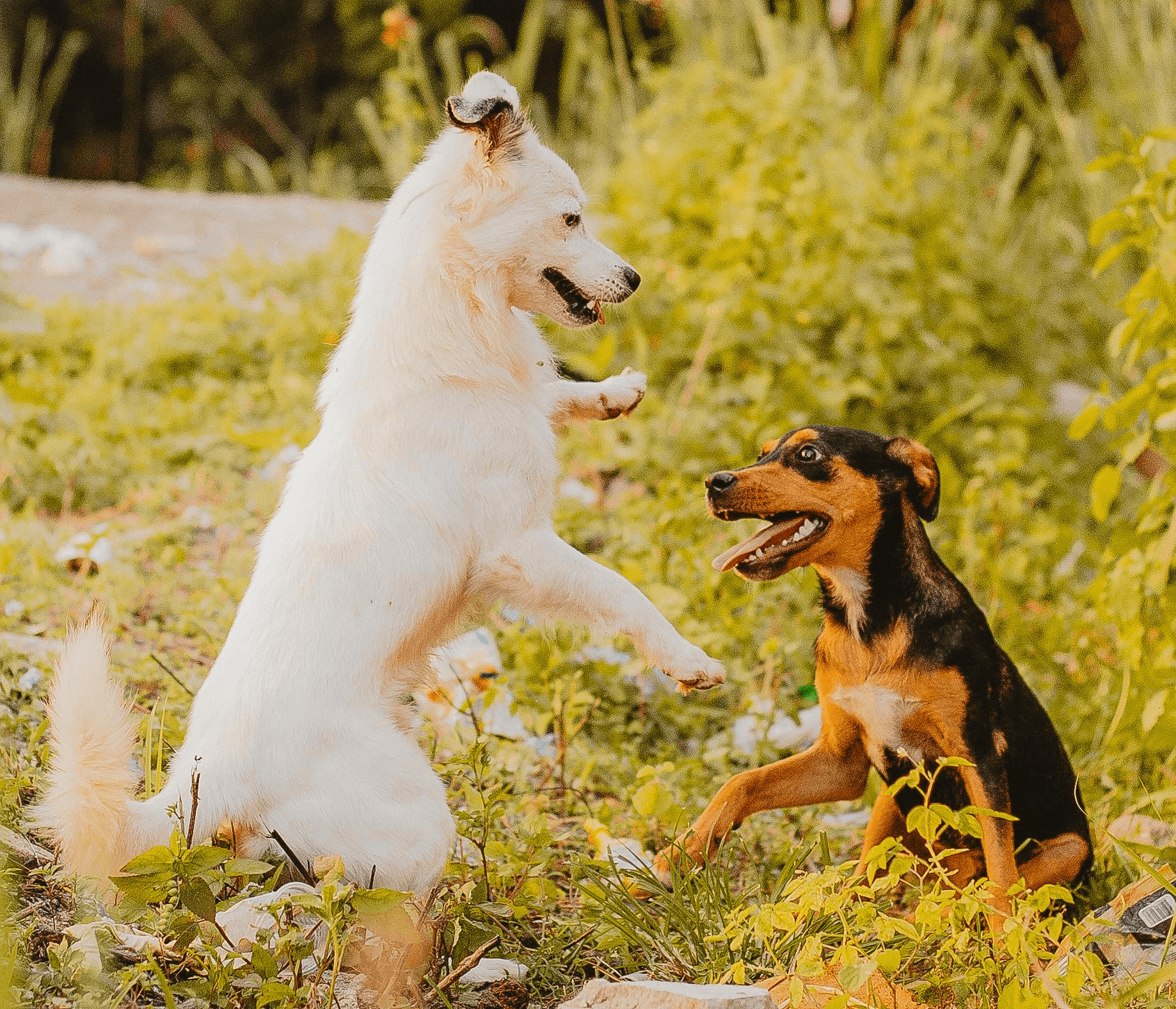 Portrait of three smiling people standing side by side against a neutral background — two men wearing black and grey t-shirts and a woman in a black zip-up hoodie.