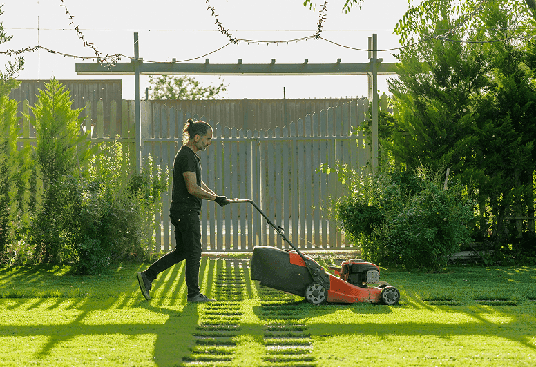 Garden image 5