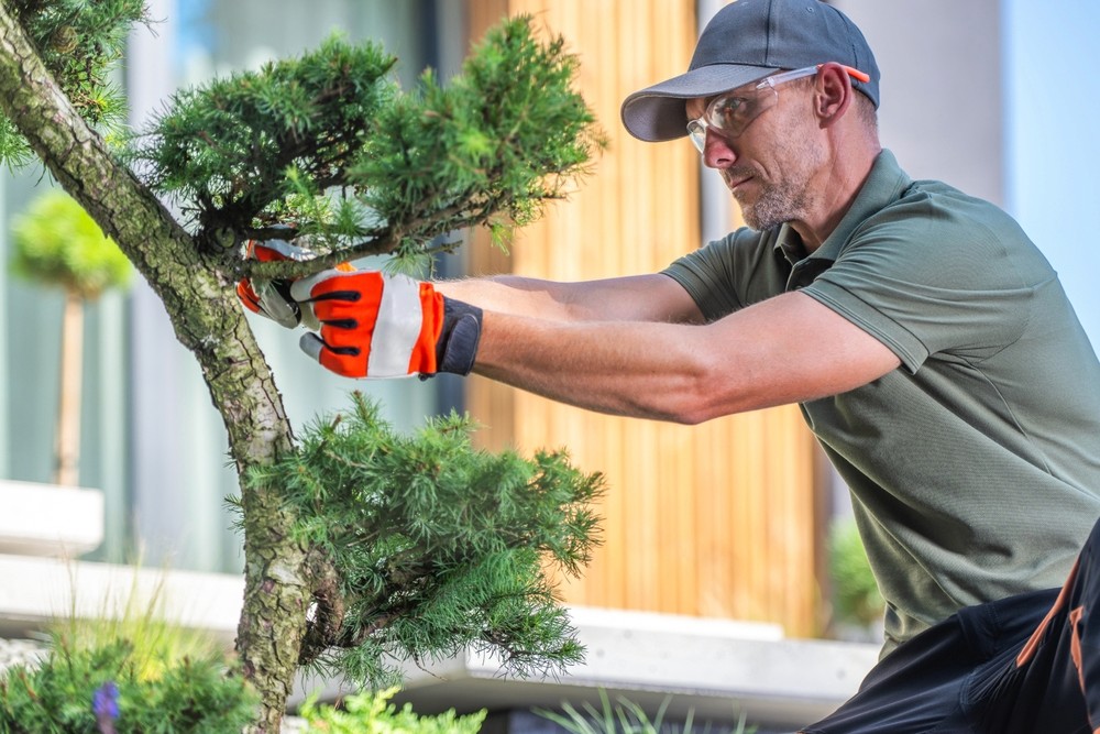 The Power of Local SEO for Landscape Contractors: How to Dominate Your Area