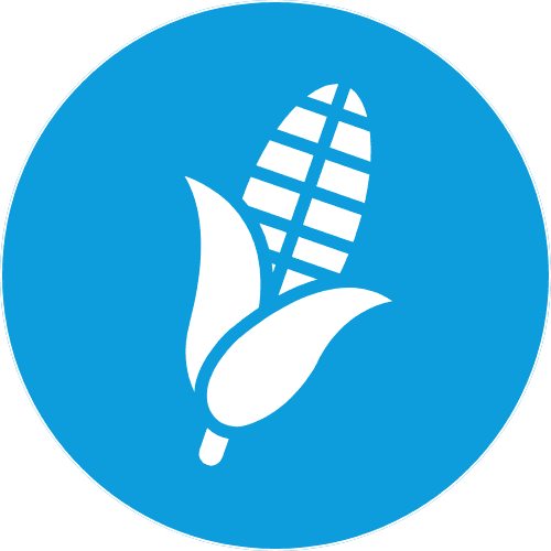 maize icon
