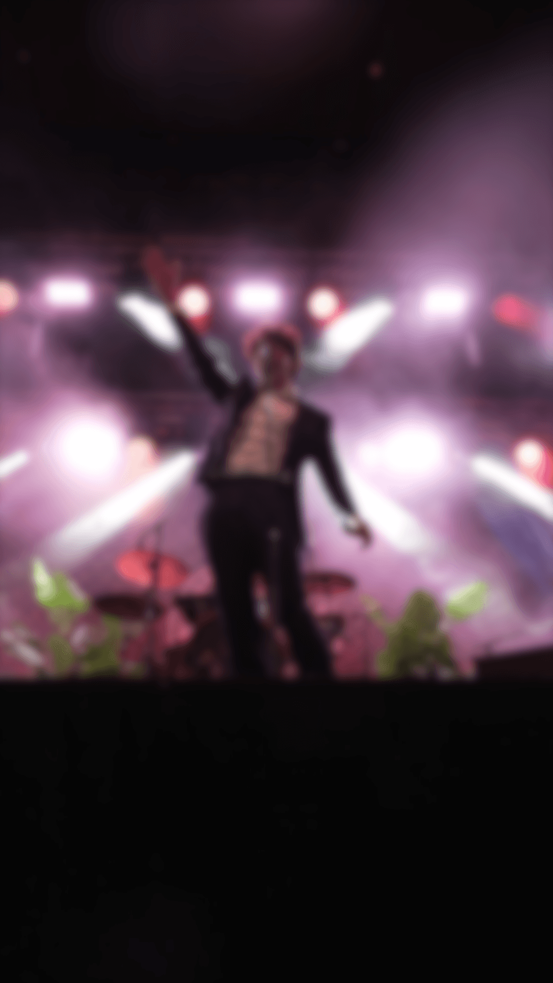 Picture of a concert, standing for "Event Videography"