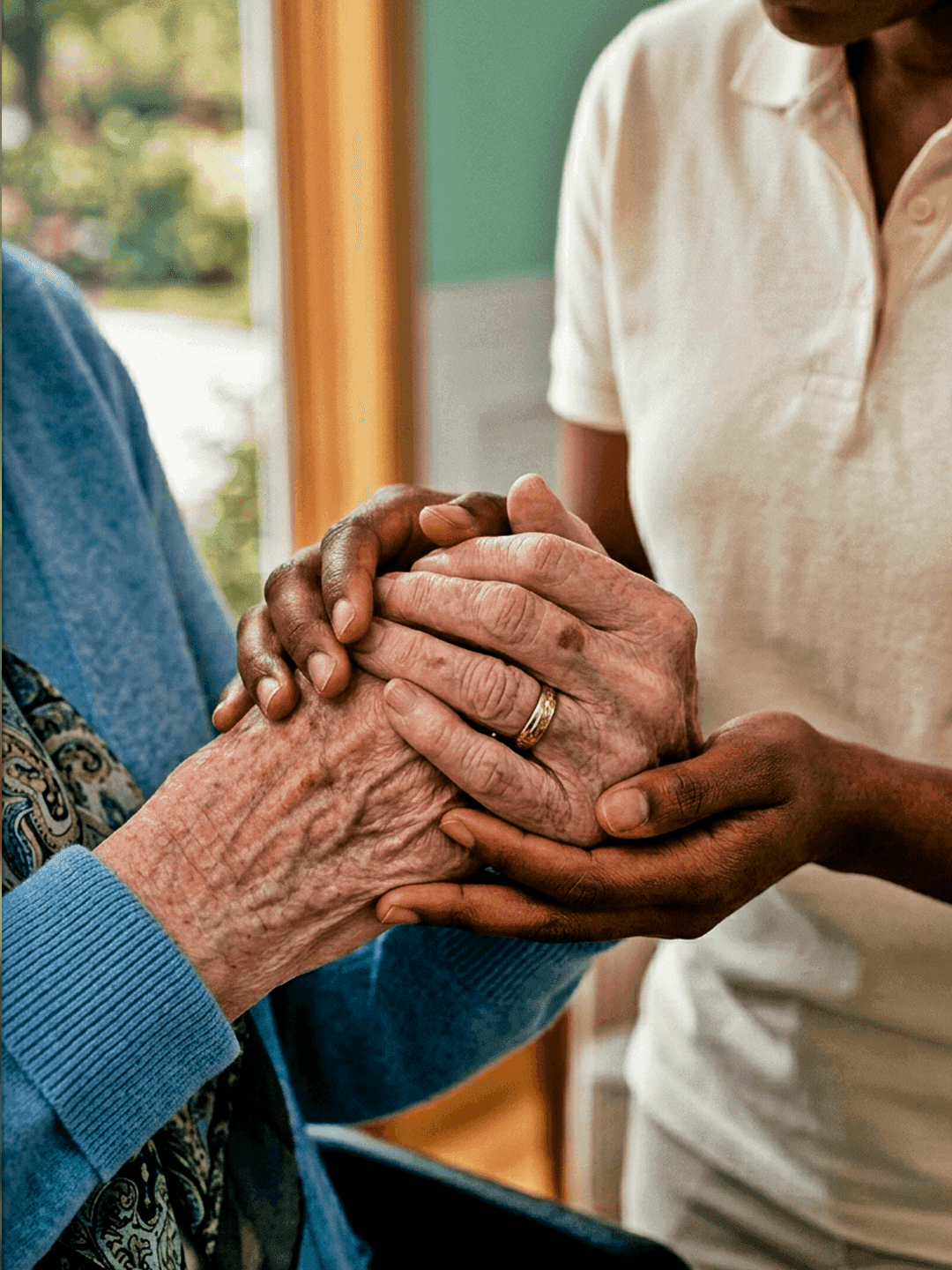 Companion and Elder Image