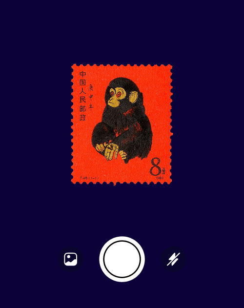 Close-up of a dark green leaf showing its textured surface and central vein against a muted background.