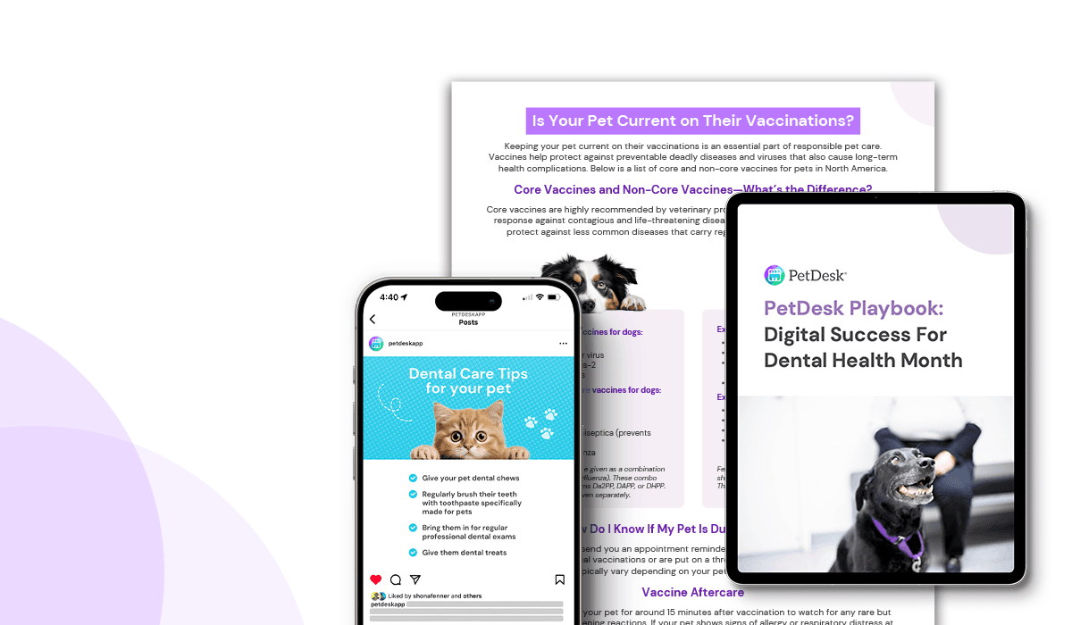 PetDesk's Customer Resource Pack