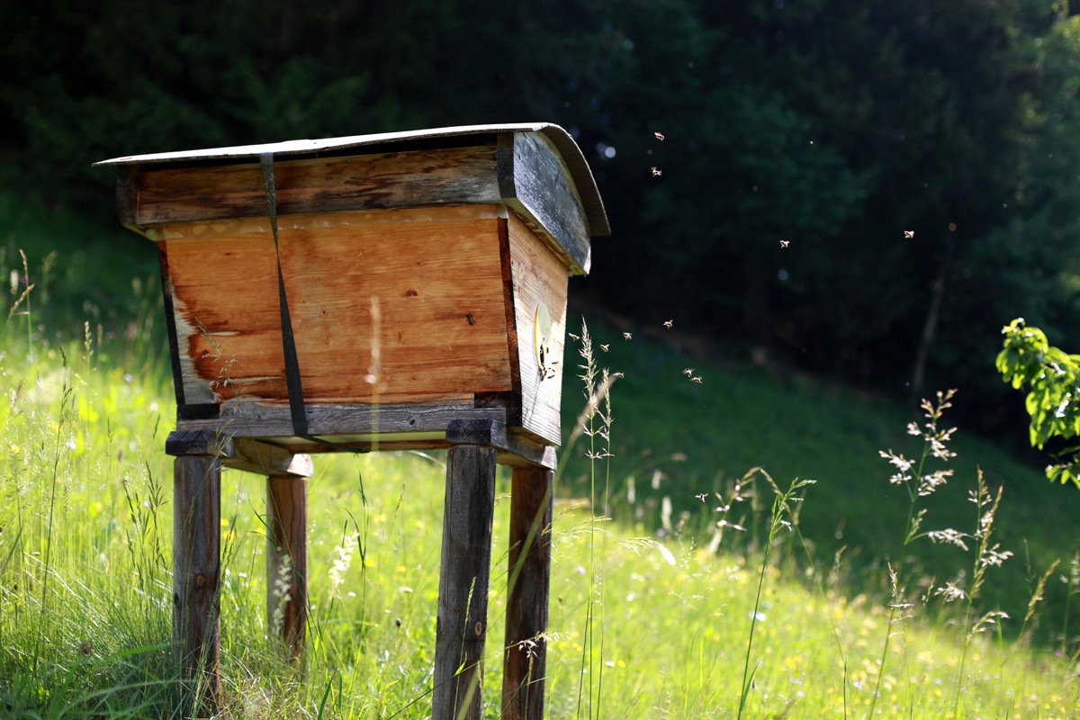 Bienenstock auf Bergwiese im Biosphärenpark Lungau