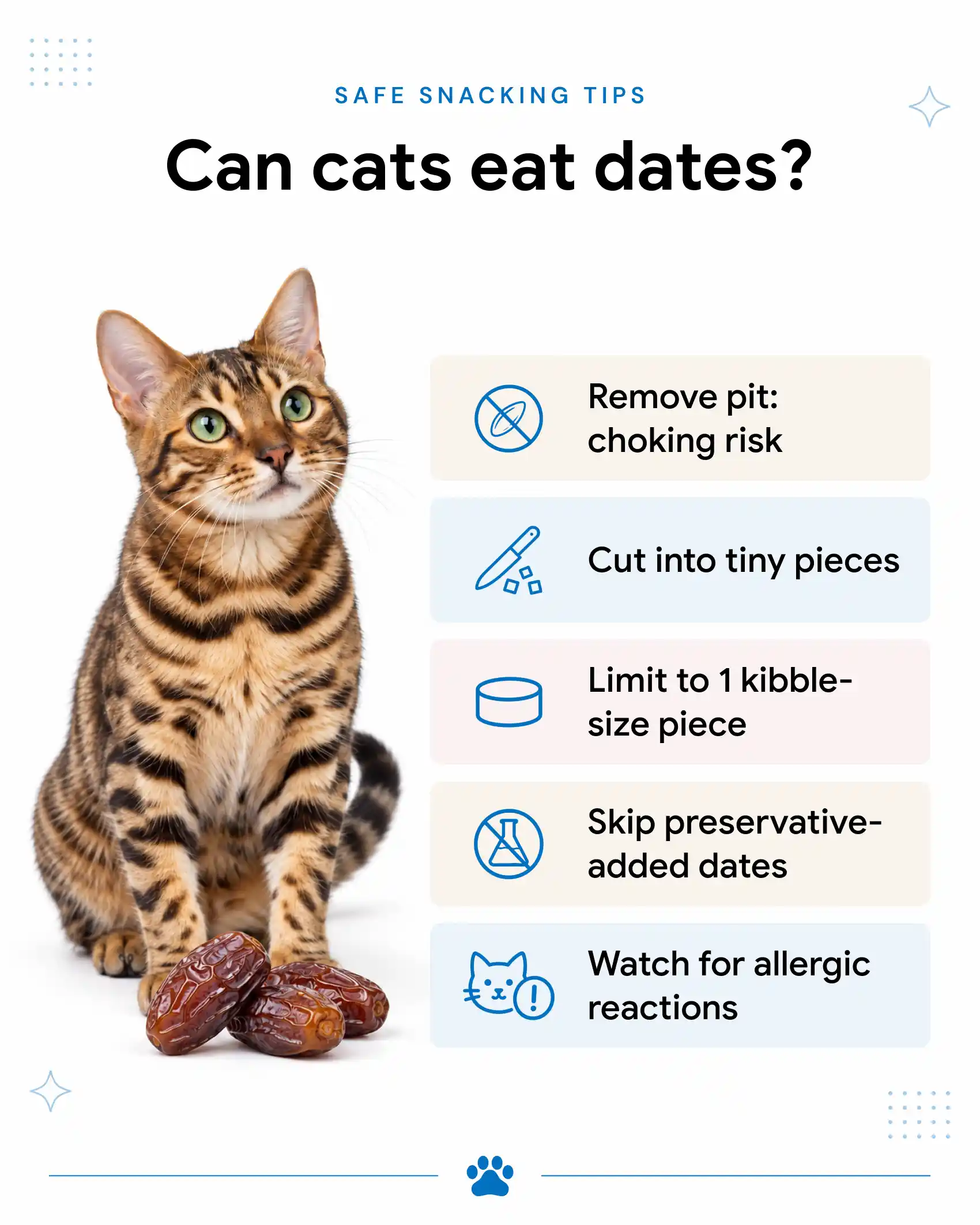 An infographic on how to prepare and give cats dates as a treat