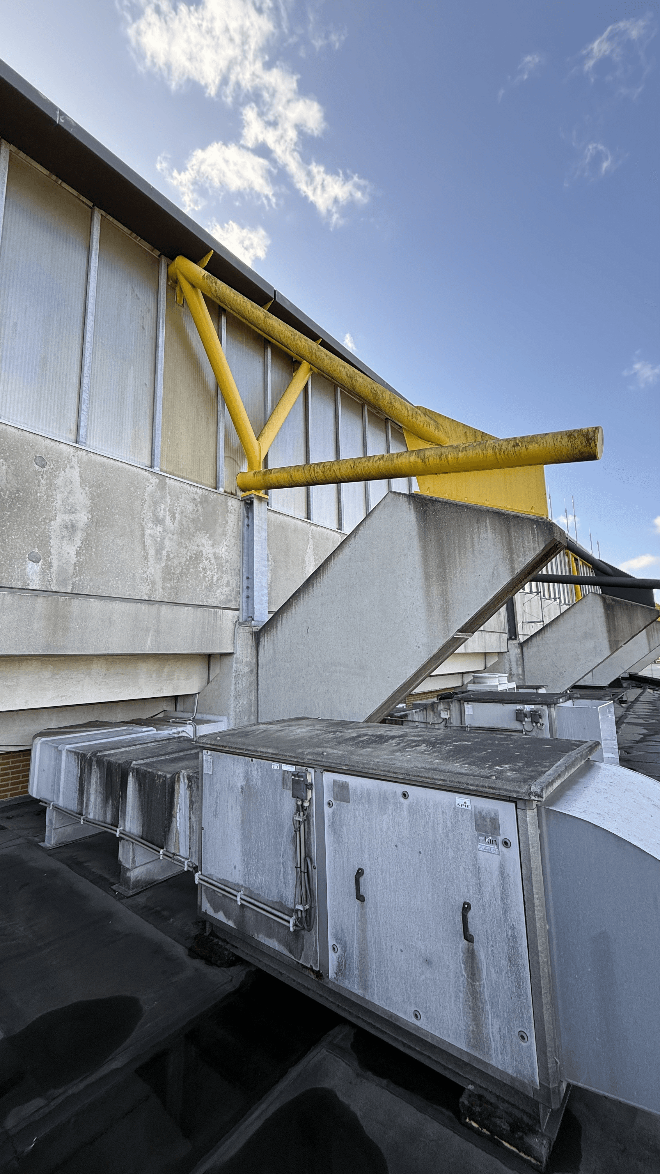 Women On Neon Background