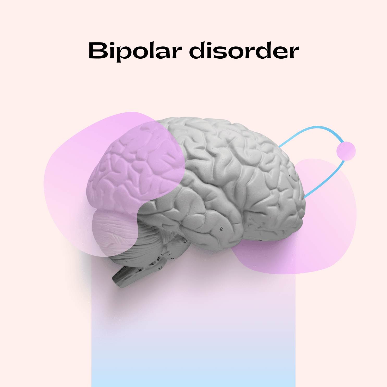 bipolar disorder Brain 