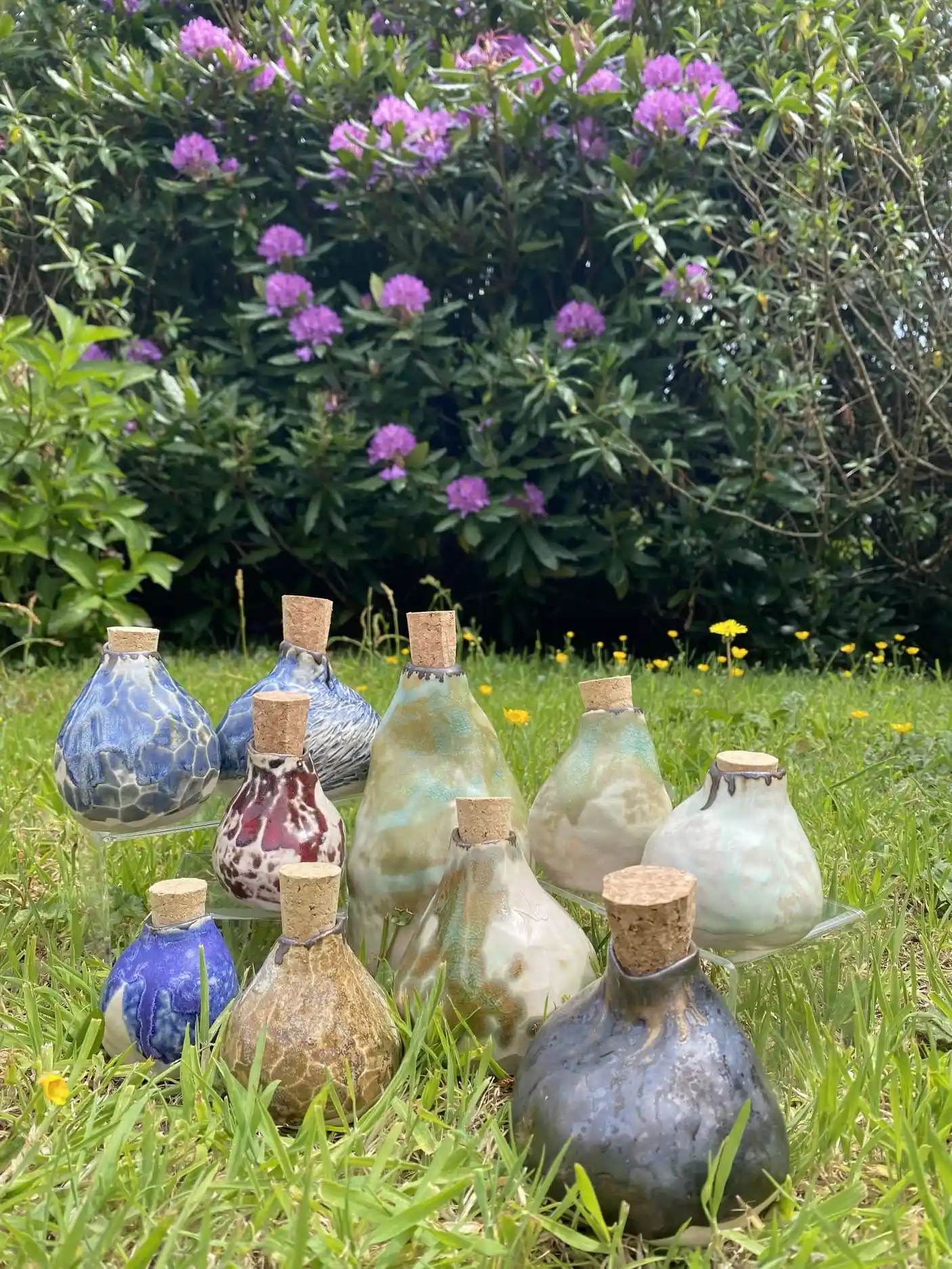 Mayra's ceramics on the lawn