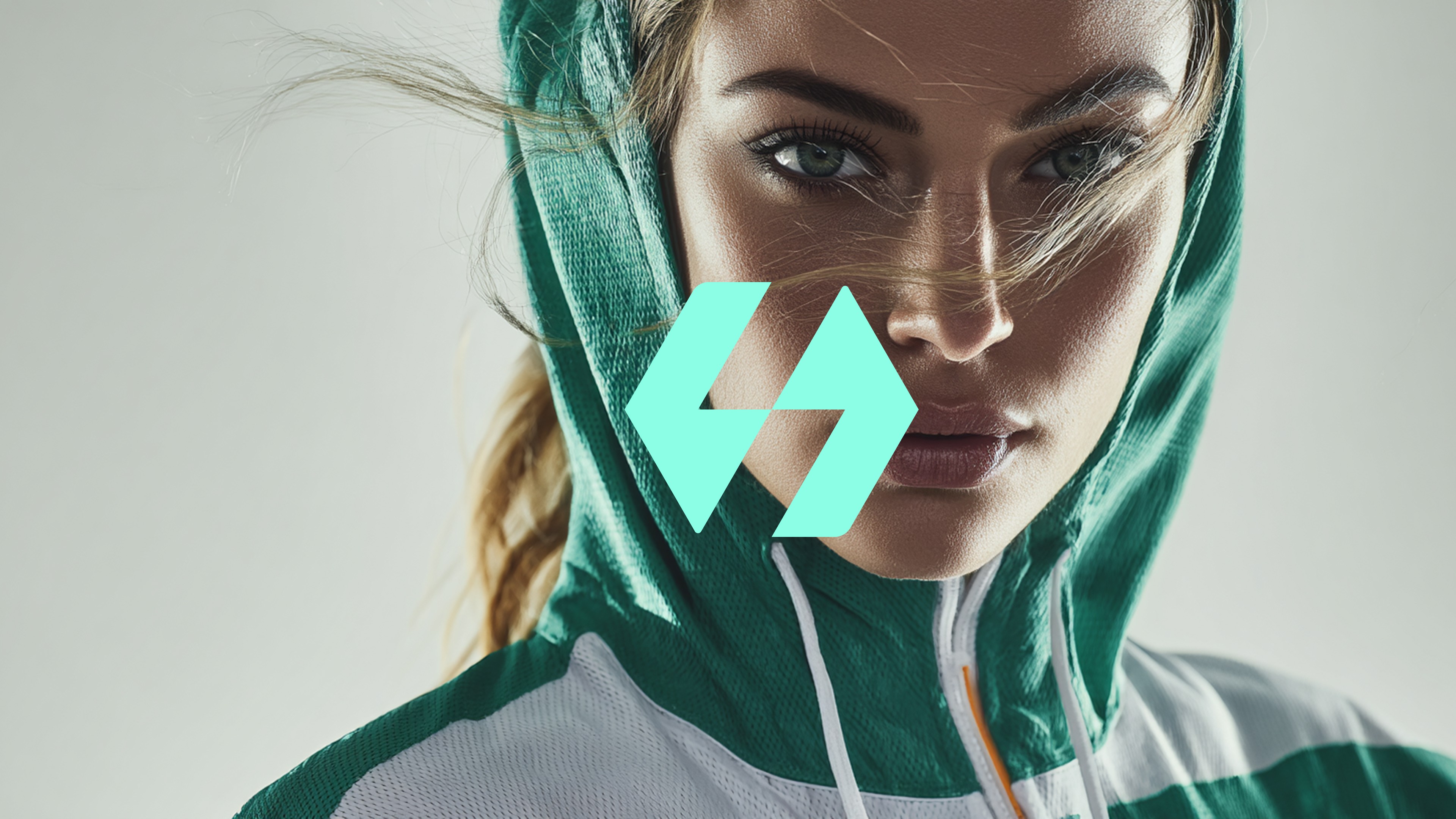 Meridian logo preview main