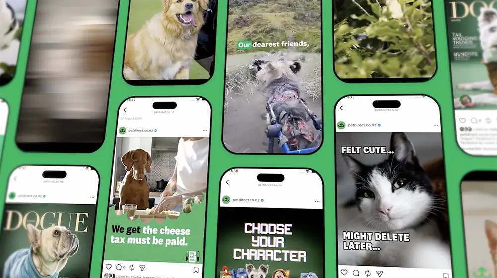 A grid of various pet direct adverts to showcase a years long social campaign