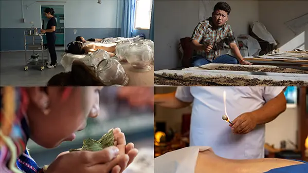 Six traditional healers from all around the world for the World Health Organization Traditional Medicine campaign