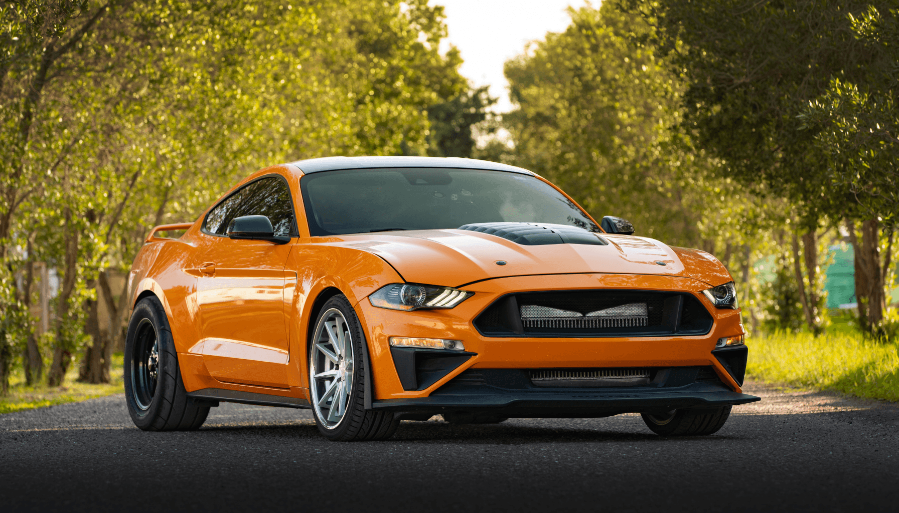 Orangefarbener Sportwagen auf einer von Bäumen gesäumten Straße im Sonnenschein.