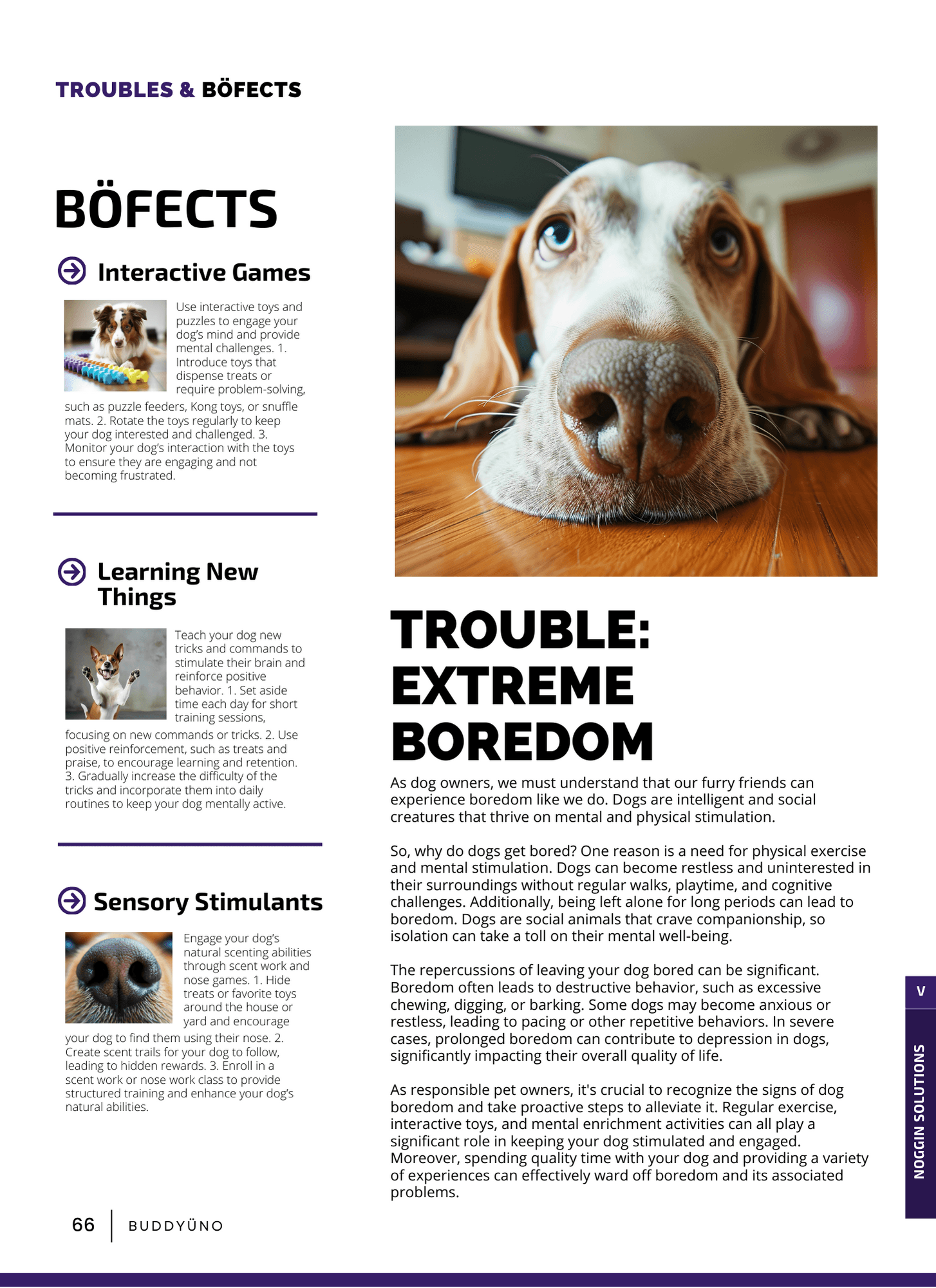 buddyuno, dog magazine, page 60