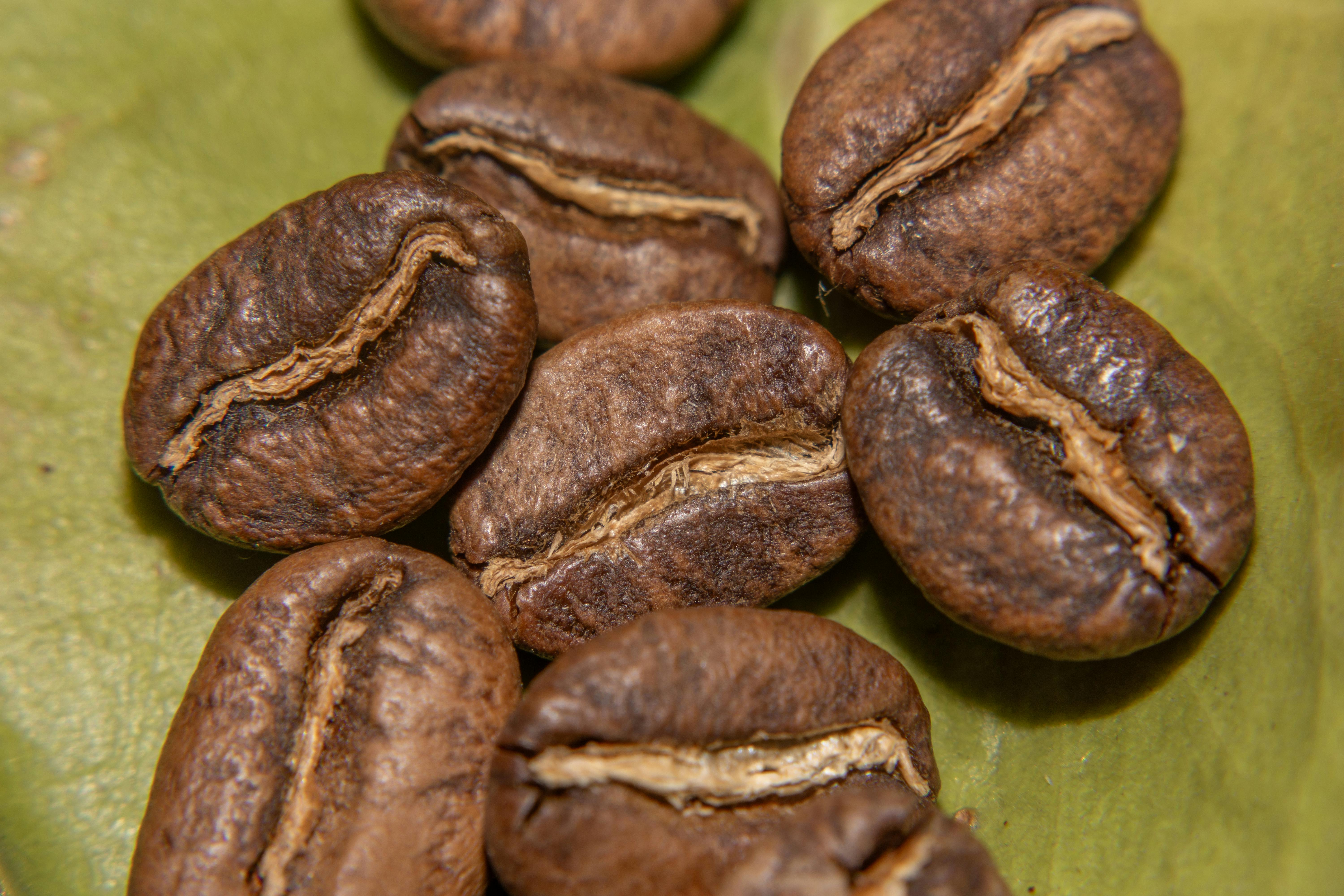 Roasted Huila Excelso coffee beans in close-up