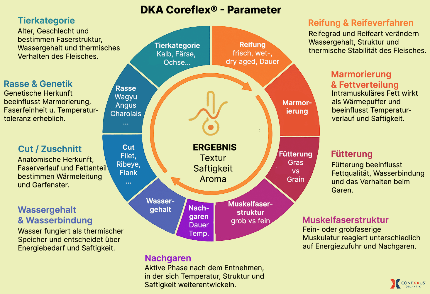 Originales DKA-Coreflex-Parametermodell mit Tierkategorie, Rasse, Cut, Wasser, Nachgaren, Muskelfaserstruktur, Fütterung, Marmorierung und Reifung