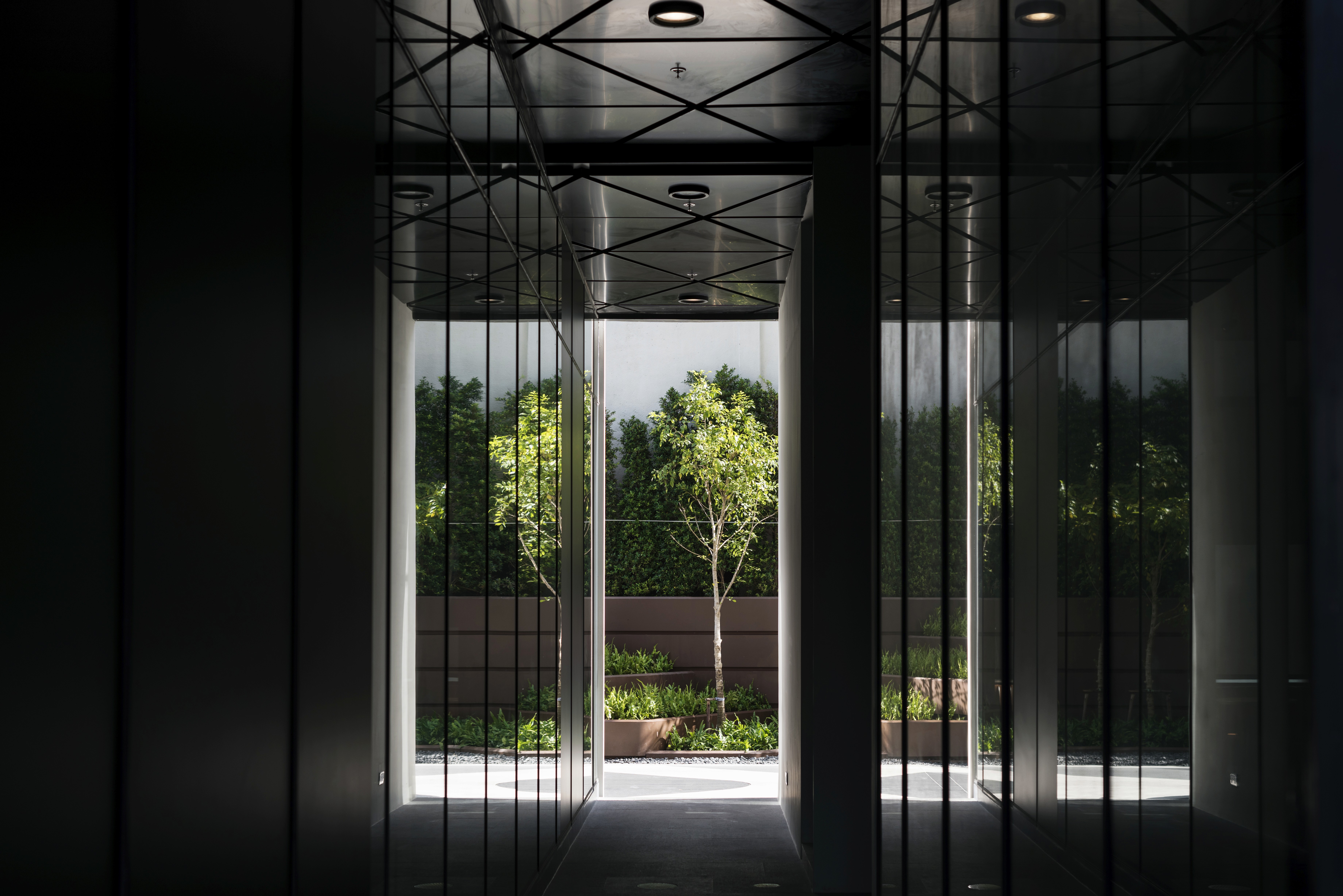 Dynamic picture of a cyclist riding downhill