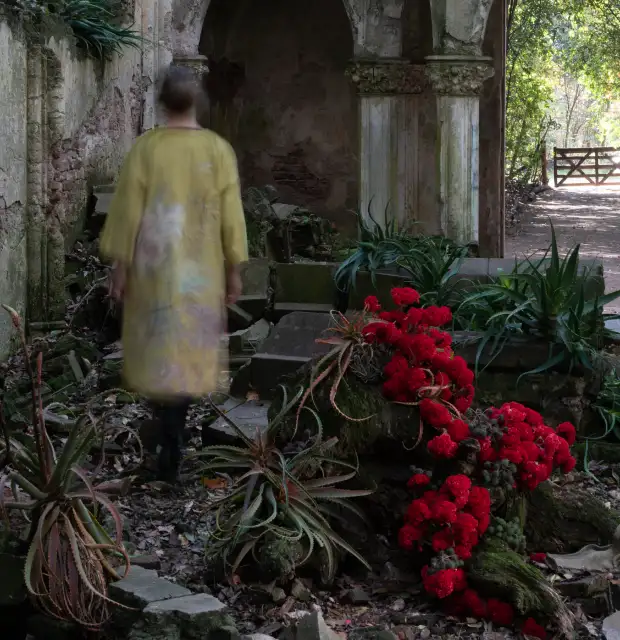 Fotografía artística con figura difusa caminando entre ruinas y flores rojas para proyecto visual botánico, evocando misterio y conexión natural.