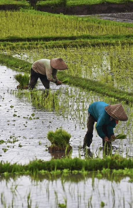 Project Content Image - 3