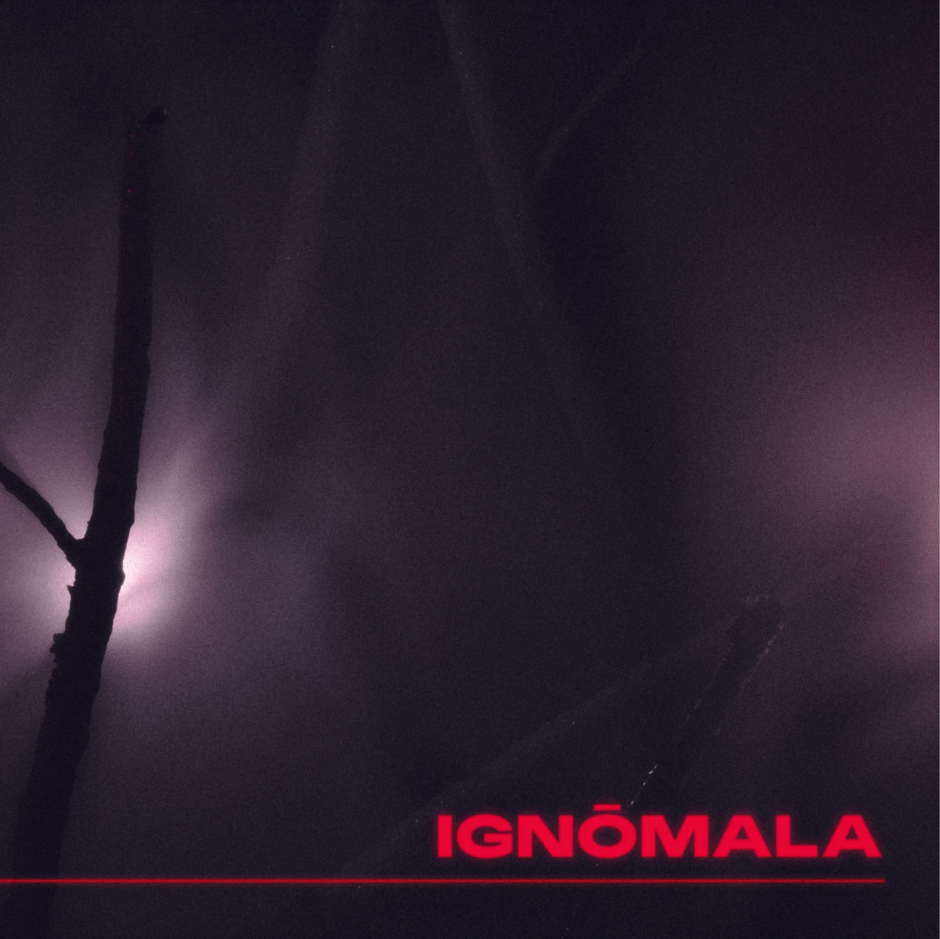 "IGNŌMALA" visual identity by freelance graphic designer Barcelona.