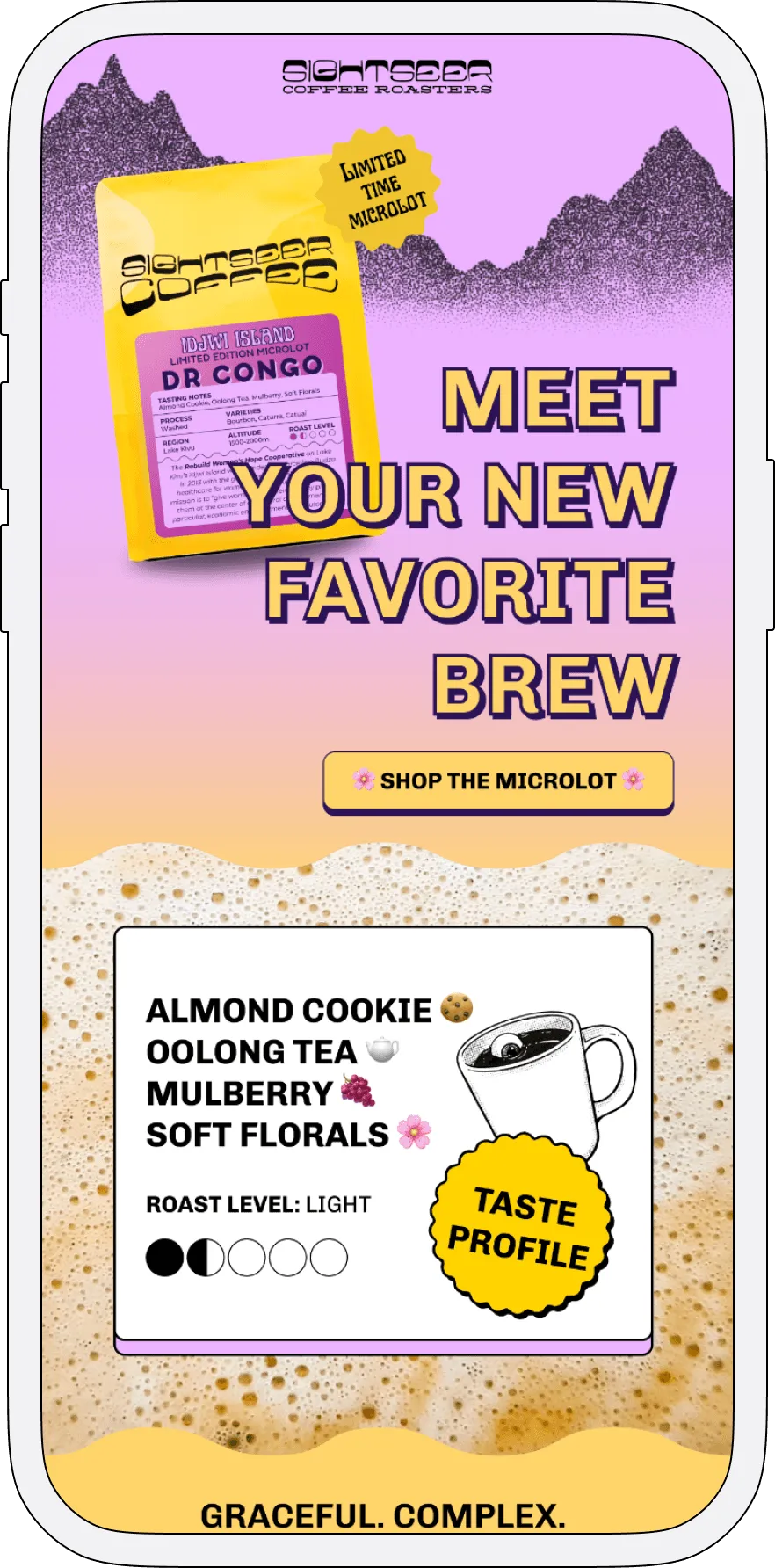 Product launch email layout for a packaged snack brand highlighting new flavor release — Email for Snack Brands.