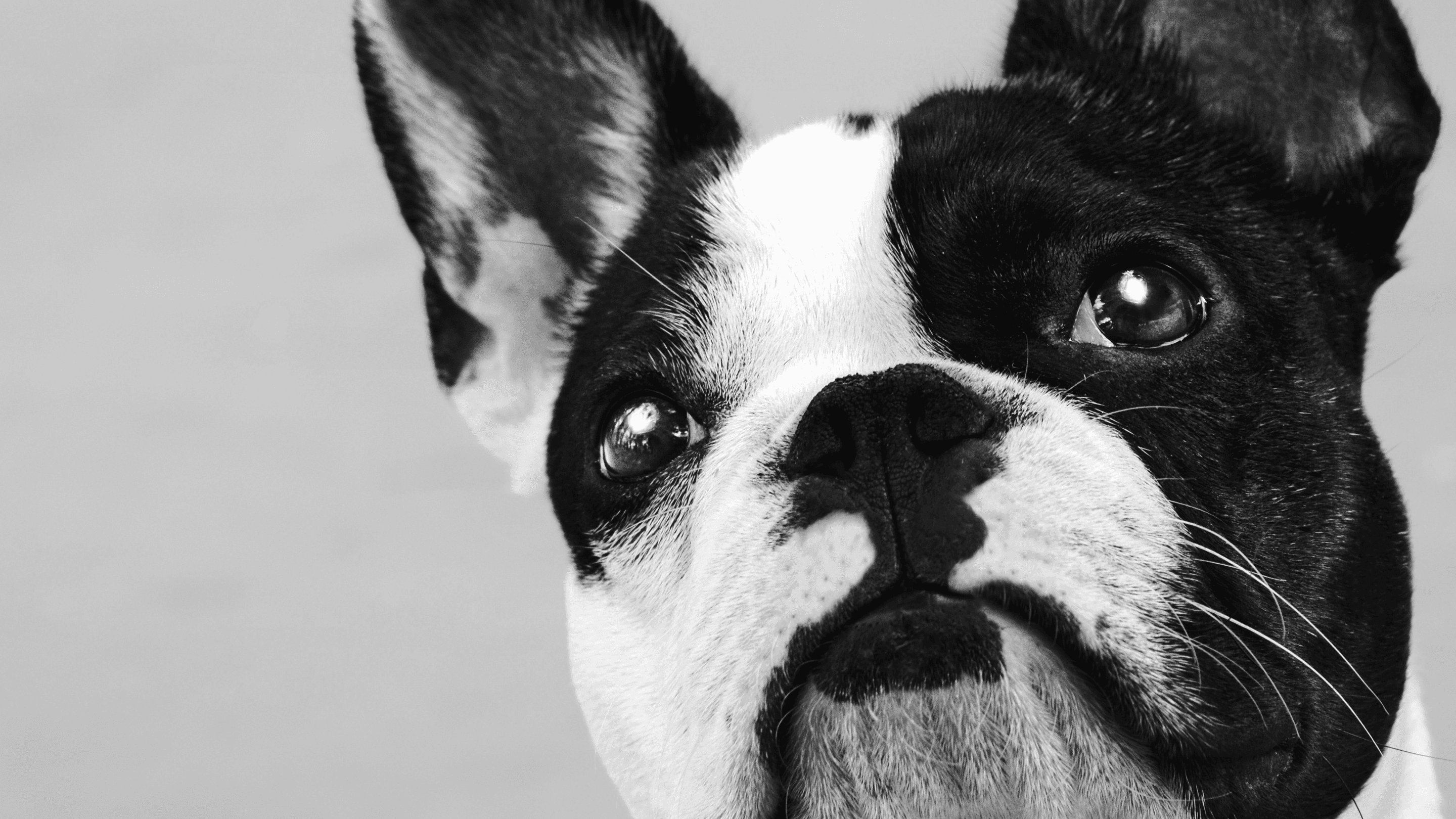 Batch.Works logo over a photo of a box of 3D printed objects