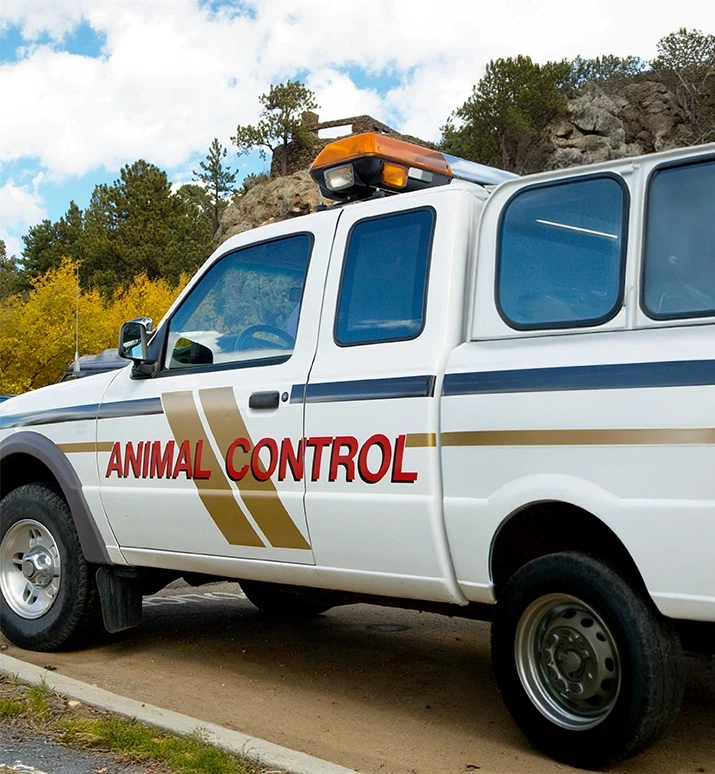 Animal control truck used to respond to reported dog attacks, illustrating accountability after dog bite injuries