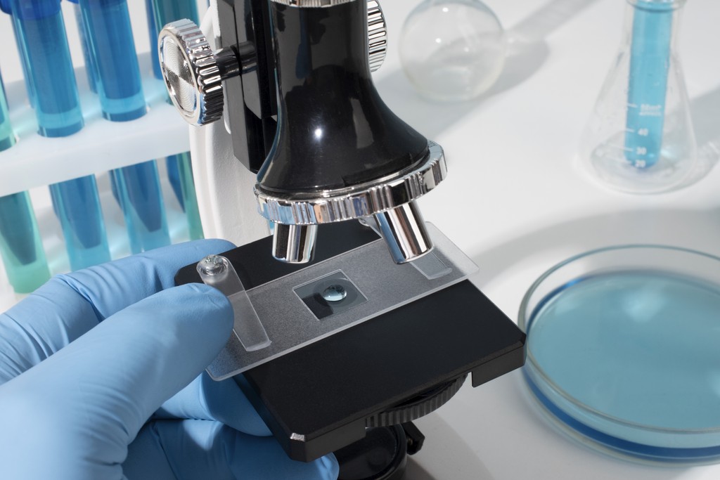 SLIDES (LAM) and COVERSLIPS (LAMEL)