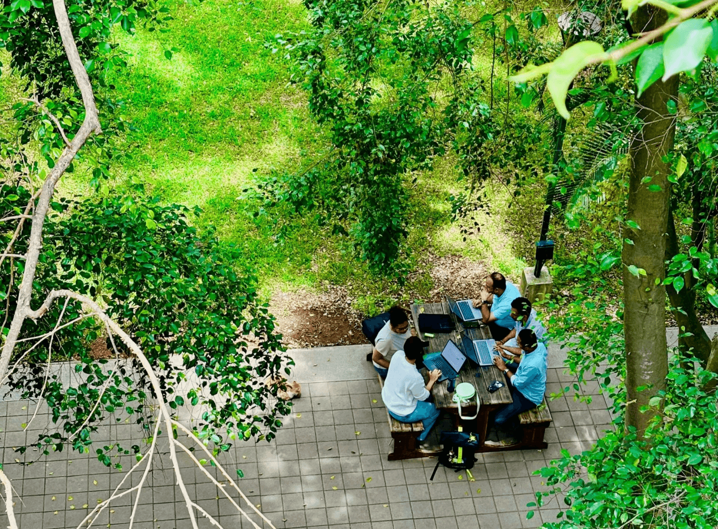 image of a group of people as a team