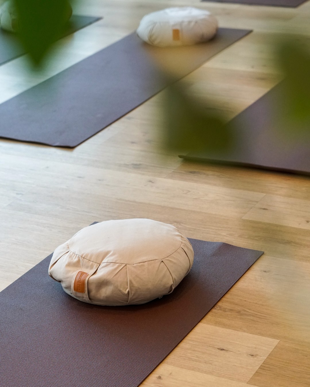 Yogamatte und Meditationskissen im Yoga Bereich bei Fuchs Kampfsport.