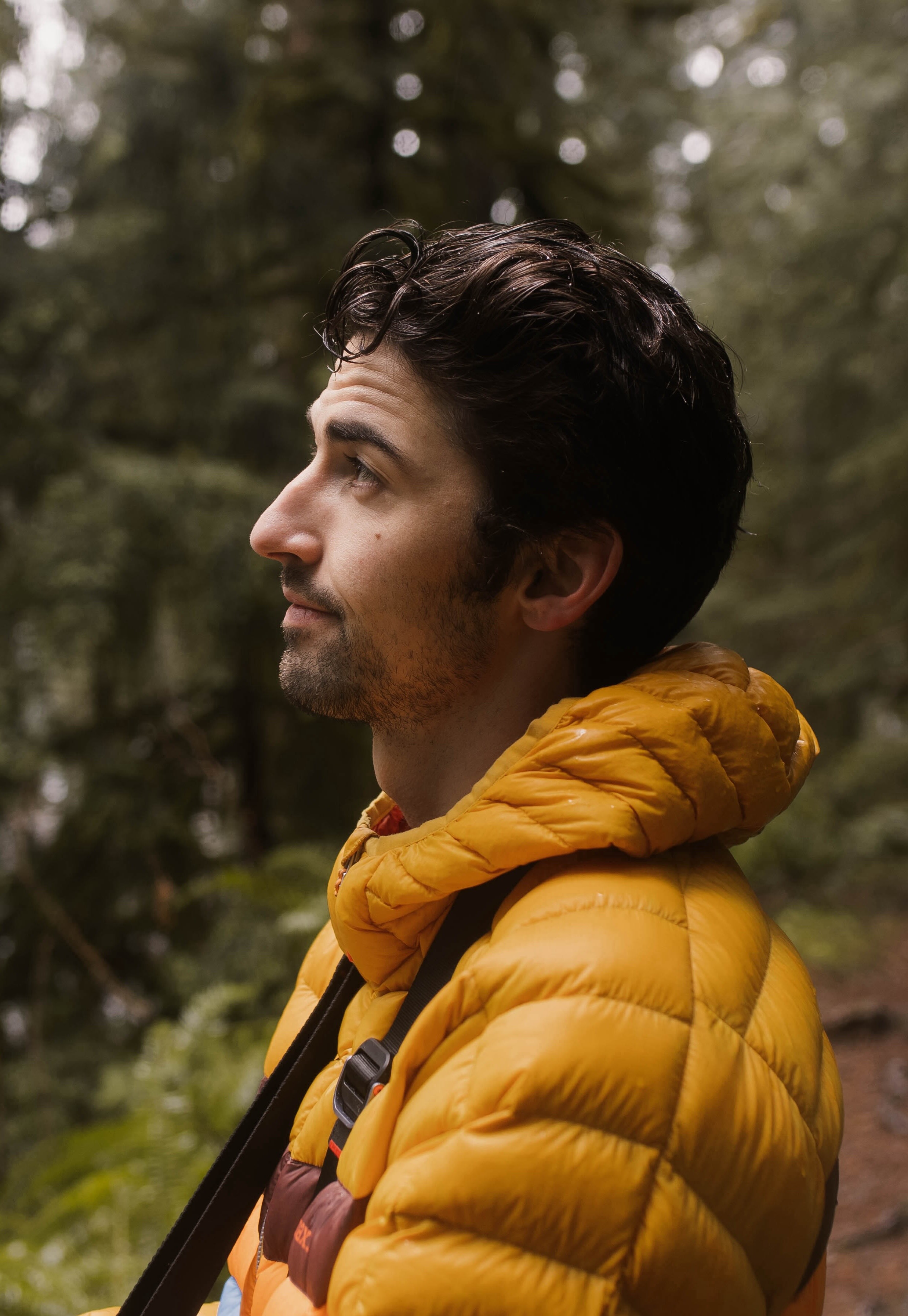 Portrait of Frank Ford