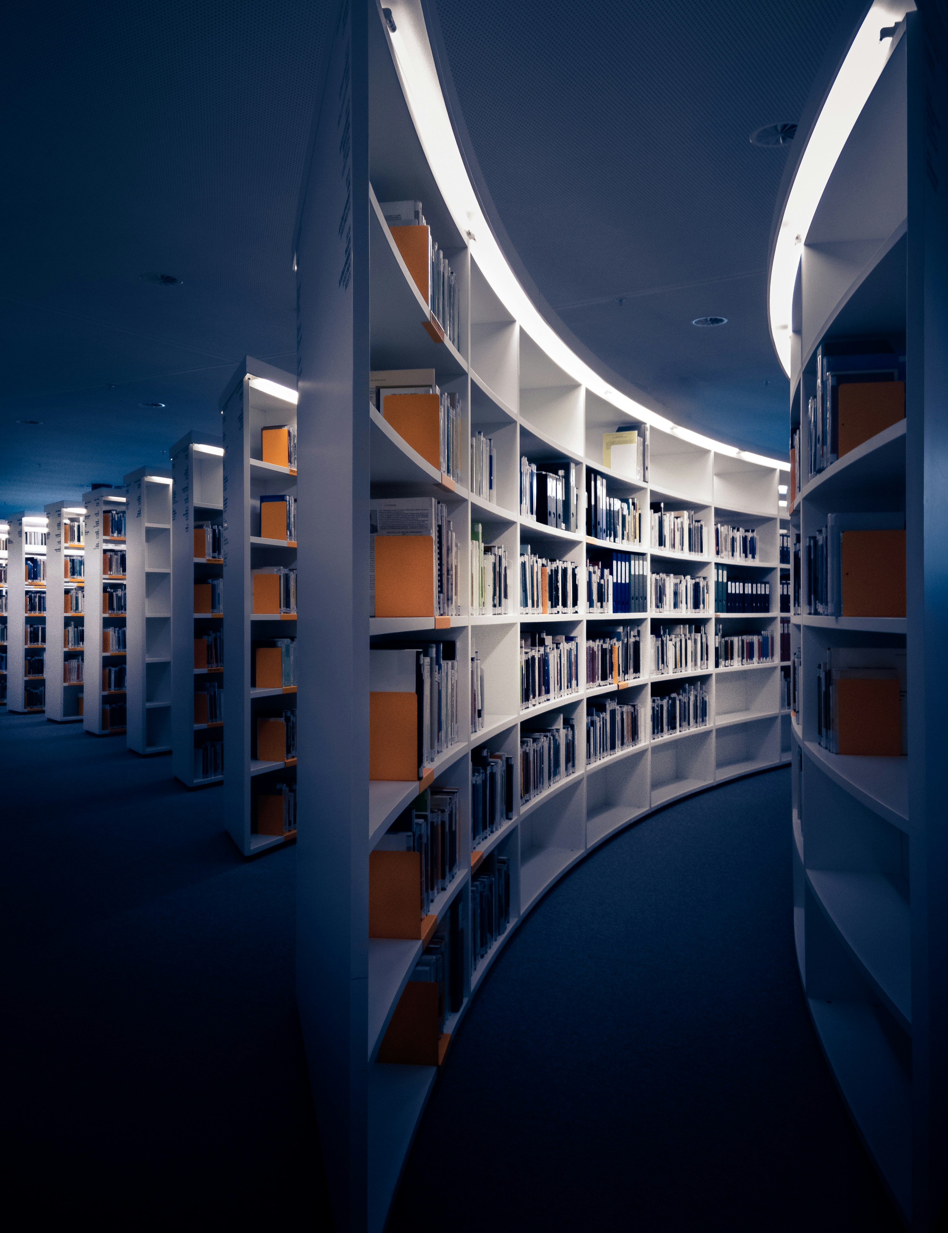 Research & Strategy