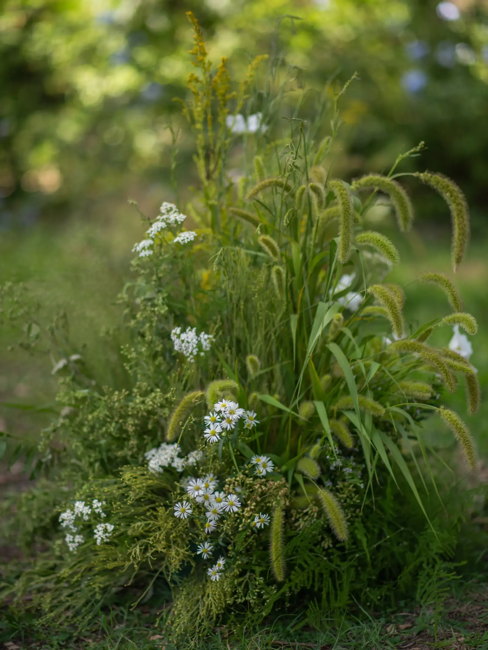Arreglo de flores silvestres y gramíneas verdes para decoración orgánica en entorno de bosque o jardín natural.