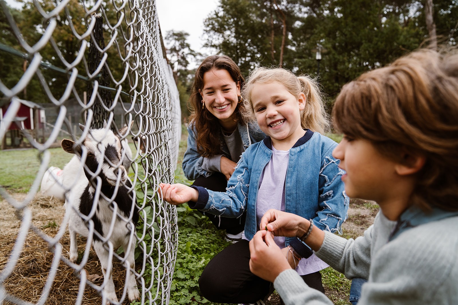 Start babysitting in your neighborhood via Charly Cares