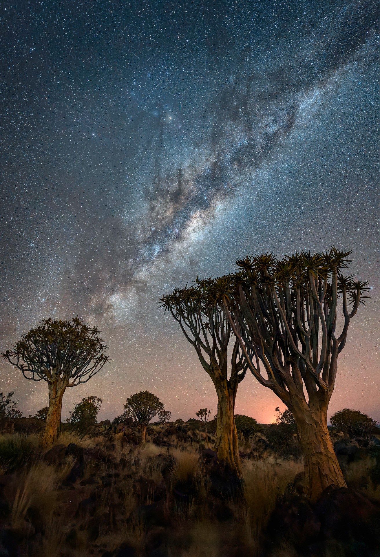 Via lactea en Namibia