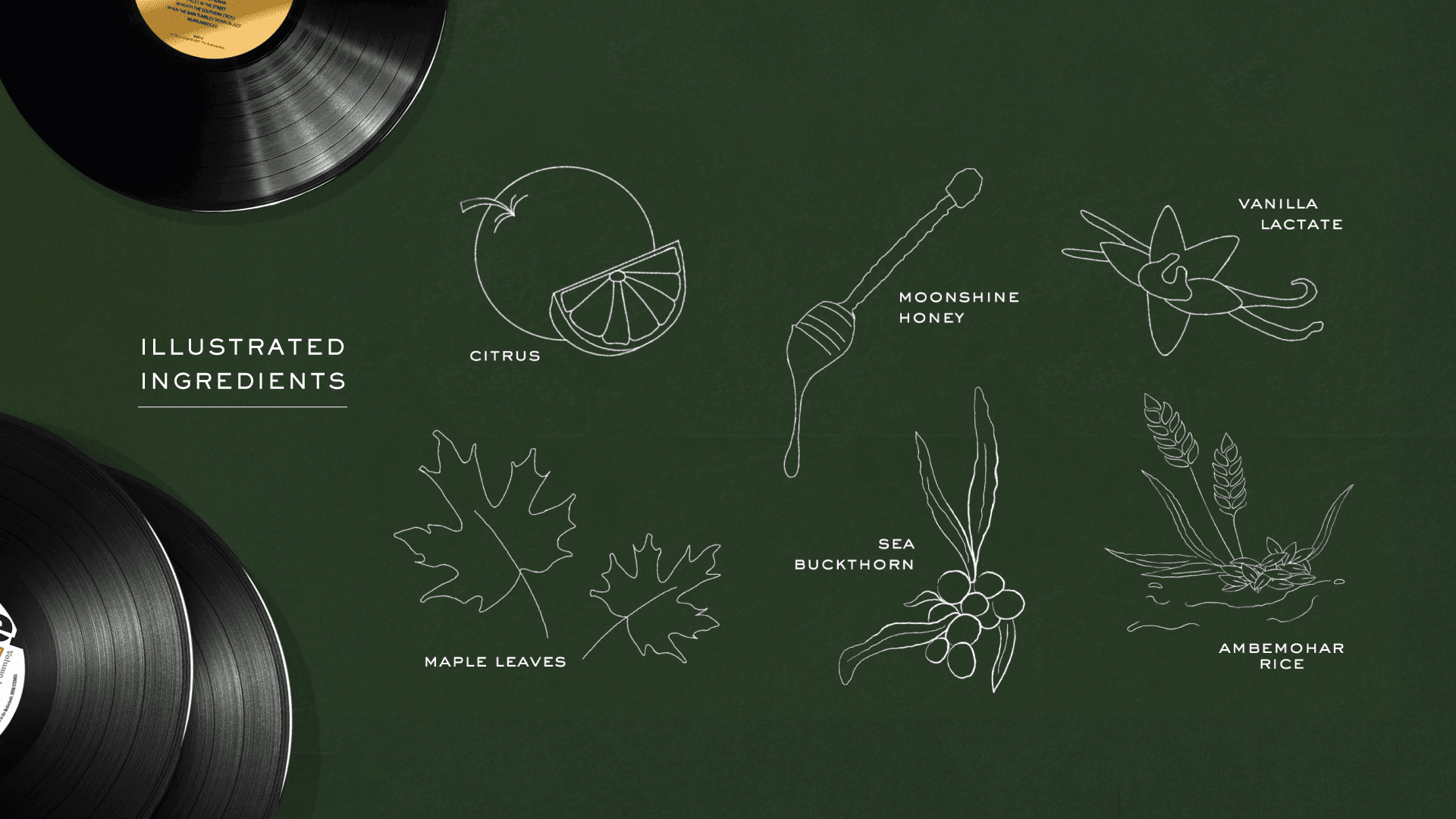 Rare Ideas illustrated many ingredients used in the cocktails for Cobbler & Crew.