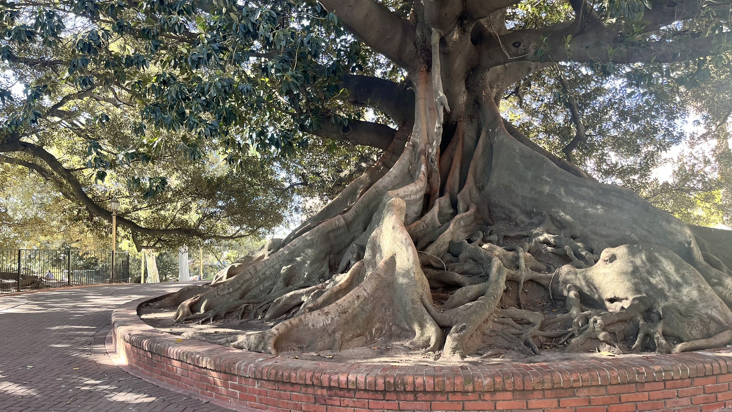 Recoleta Park Buenos Aires
