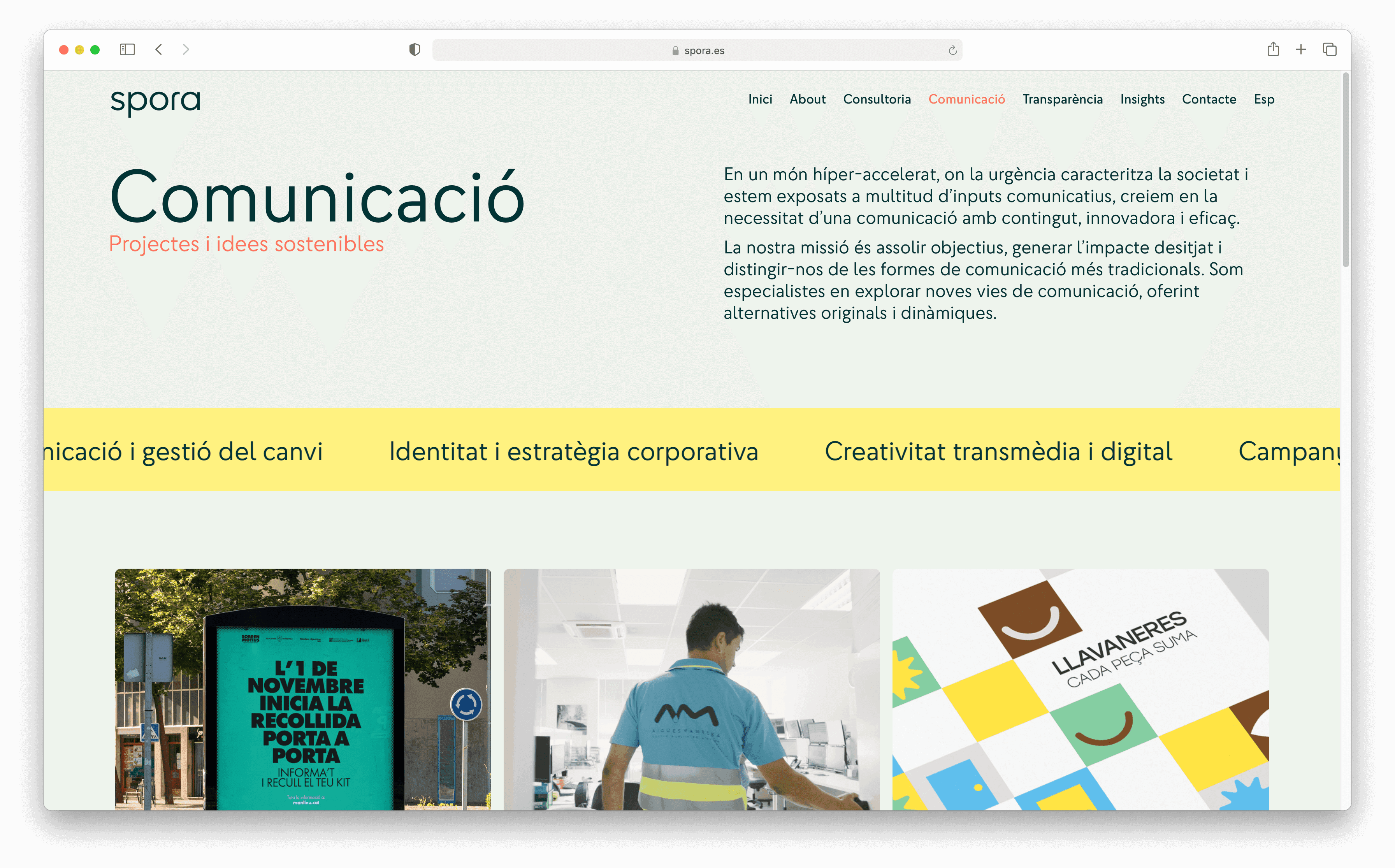 spora-insights-evolucio-esencia-estrategia-3